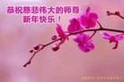 Published on 1/2/2016 ���ֹ�,��½�󷨵��ӹ�ףʦ��������֣�51����
