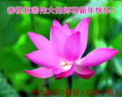 Published on 1/2/2016 ���ֹ�,��½�󷨵��ӹ�ףʦ��������֣�51����
