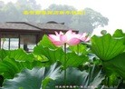 Published on 1/2/2016 ���ֹ�,��½�󷨵��ӹ�ףʦ��������֣�51����
