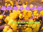 Published on 1/2/2016 ���ֹ�,��½�󷨵��ӹ�ףʦ������ã�90����
