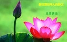 Published on 1/2/2016 ���ֹ�,��½�󷨵��ӹ�ףʦ������ã�90����
