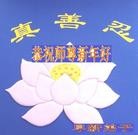 Published on 12/29/2015 ���ֹ�,��½�󷨵��ӹ�ףʦ���������(27��)
