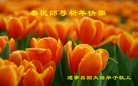 Published on 2/7/2016 ���ֹ�,��½�󷨵��ӹ�ףʦ�������(26��)
