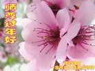 Published on 2/7/2016 ���ֹ�,��½�󷨵��ӹ�ףʦ�������(26��)
