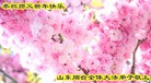 Published on 2/7/2016 ���ֹ�,��½�󷨵��ӹ�ףʦ�������(26��)
