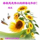 Published on 2/7/2016 ���ֹ�,��½�󷨵��ӹ�ףʦ�������(26��)
