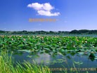 Published on 2/7/2016 ���ֹ�,��½�󷨵��ӹ�ףʦ�������(26��)
