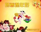 Published on 2/7/2016 ���ֹ�,��½�󷨵��ӹ�ףʦ�������(26��)
