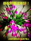 Published on 2/7/2016 ���ֹ�,��½�󷨵��ӹ�ףʦ�������(26��)
