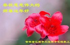 Published on 2/7/2016 ���ֹ�,��½�󷨵��ӹ�ףʦ�������(29��)
