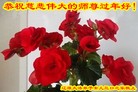 Published on 2/7/2016 ���ֹ�,��½�󷨵��ӹ�ףʦ�������(29��)
