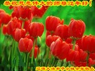 Published on 2/7/2016 ���ֹ�,��½�󷨵��ӹ�ףʦ�������(29��)
