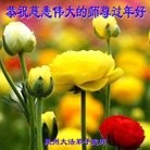 Published on 2/9/2016 ���ֹ�,��½�󷨵��ӹ�ףʦ�������(33��)
