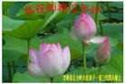 Published on 2/9/2016 ���ֹ�,��½�󷨵��ӹ�ףʦ�������(33��)
