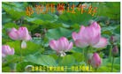 Published on 2/9/2016 ���ֹ�,��½�󷨵��ӹ�ףʦ�������(33��)

