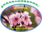 Published on 2/9/2016 ���ֹ�,��½�󷨵��ӹ�ףʦ�������(33��)
