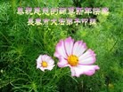 Published on 2/9/2016 ���ֹ�,��½�󷨵��ӹ�ףʦ�������(28��)
