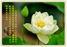 Published on 2/7/2016 ���ֹ�,��½�󷨵��ӹ�ףʦ�������(29��)
