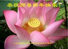 Published on 2/7/2016 ���ֹ�,��½�󷨵��ӹ�ףʦ�������(26��)
