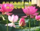 Published on 2/7/2016 ���ֹ�,��½�󷨵��ӹ�ףʦ�������(26��)
