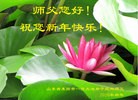 Published on 2/7/2016 ���ֹ�,��½�󷨵��ӹ�ףʦ�������(26��)
