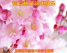 Published on 2/7/2016 ���ֹ�,��½�󷨵��ӹ�ףʦ�������(26��)
