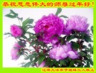 Published on 2/7/2016 ���ֹ�,��½�󷨵��ӹ�ףʦ�������(26��)
