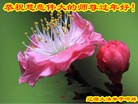 Published on 2/7/2016 ���ֹ�,��½�󷨵��ӹ�ףʦ�������(26��)
