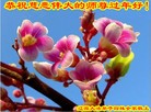 Published on 2/7/2016 ���ֹ�,��½�󷨵��ӹ�ףʦ�������(26��)

