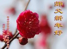 Published on 2/7/2016 ���ֹ�,��½�󷨵��ӹ�ףʦ�������(26��)
