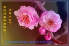 Published on 2/7/2016 ���ֹ�,��½�󷨵��ӹ�ףʦ�������(36��)
