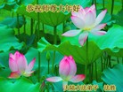 Published on 2/7/2016 ���ֹ�,��½�󷨵��ӹ�ףʦ�������(36��)
