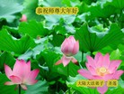 Published on 2/7/2016 ���ֹ�,��½�󷨵��ӹ�ףʦ�������(36��)
