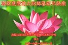 Published on 2/7/2016 ���ֹ�,��½�󷨵��ӹ�ףʦ�������(29��)
