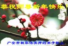 Published on 2/7/2016 ���ֹ�,��½�󷨵��ӹ�ףʦ�������(29��)
