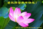 Published on 2/7/2016 ���ֹ�,��½�󷨵��ӹ�ףʦ�������(29��)
