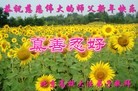 Published on 2/8/2016 ���ֹ�,����ϵͳ�󷨵��ӹ�ףʦ�������(20��)
