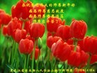 Published on 2/7/2016 ���ֹ�,��½�󷨵��ӹ�ףʦ������(33��)
