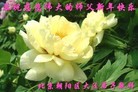 ֹ,󷨵ӹףʦ(25)
