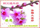 Published on 2/7/2016 ���ֹ�,��½�󷨵��ӹ�ףʦ������(28��)
