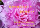 Published on 2/8/2016 ���ֹ�,����ϵͳ�󷨵��ӹ�ףʦ�������(20��)
