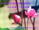 Published on 2/7/2016 ���ֹ�,��½�󷨵��ӹ�ףʦ������(30��)
