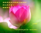 Published on 2/7/2016 ���ֹ�,��½�󷨵��ӹ�ףʦ������(33��)
