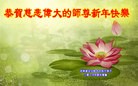 Published on 2/8/2016 ���ֹ�,��С���ӹ�ףʦ�������(19��)
