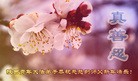 ֹ,󷨵ӹףʦ(22)
