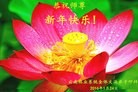 Published on 2/10/2016 ���ֹ�,����ҵ�󷨵��ӹ�ףʦ�������(26��)
