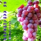 Published on 12/31/2015 ���ֹ�,��½�󷨵��ӹ�ףʦ���������(32��)
