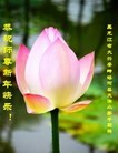Published on 2/8/2016 ���ֹ�,��С���ӹ�ףʦ�������(19��)
