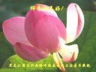 Published on 2/6/2016 ���ֹ�,��½�󷨵��ӹ�ףʦ���������(27��)
