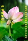 Published on 2/6/2016 ���ֹ�,��½�󷨵��ӹ�ףʦ���������(27��)
